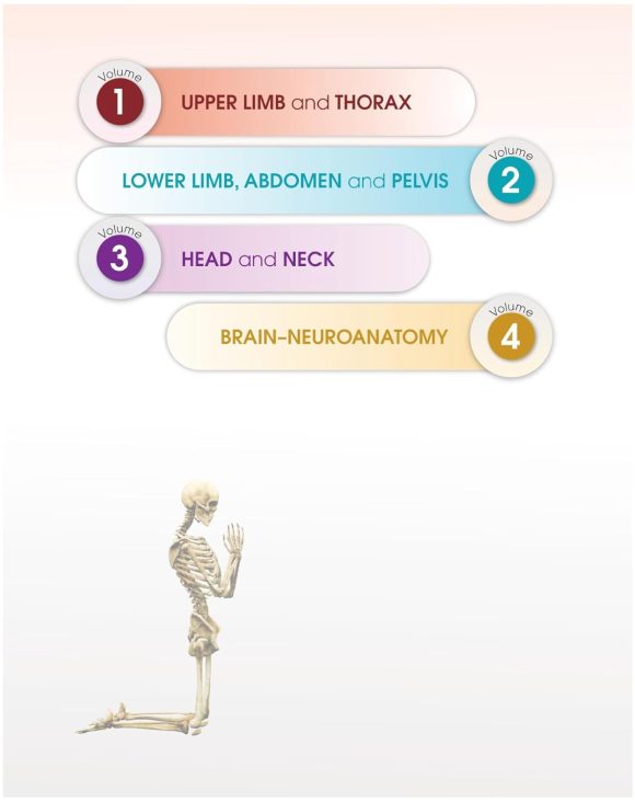 BD Chaurasia’s Human Anatomy, 10/E Vol-1, Regional and Applied Dissection and Clinical Upper Limb, Thorax (PB-2024) – June 17, 2024 - Image 5