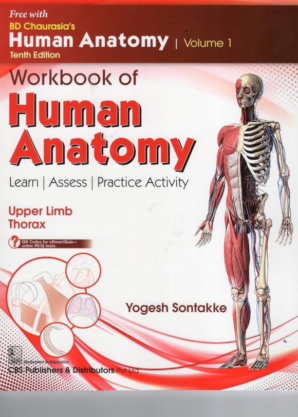 BD Chaurasia’s Human Anatomy, 10/E Vol-1, Regional and Applied Dissection and Clinical Upper Limb, Thorax (PB-2024) – June 17, 2024 - Image 8